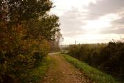 DSC_0195.JPG
